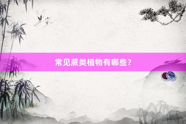 常见蕨类植物有哪些？