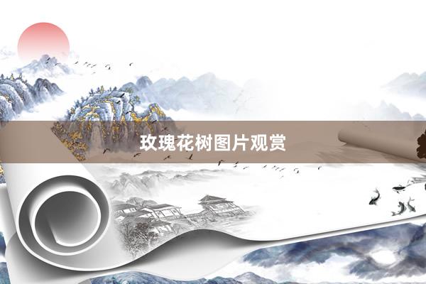 玫瑰花树图片观赏
