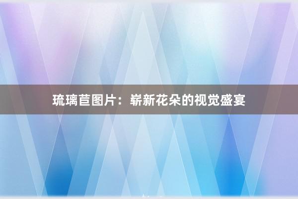 琉璃苣图片：崭新花朵的视觉盛宴