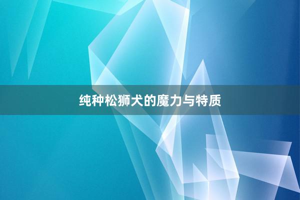 纯种松狮犬的魔力与特质