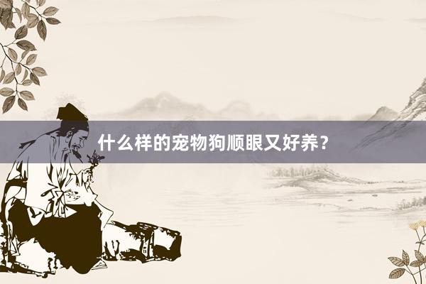 什么样的宠物狗顺眼又好养？